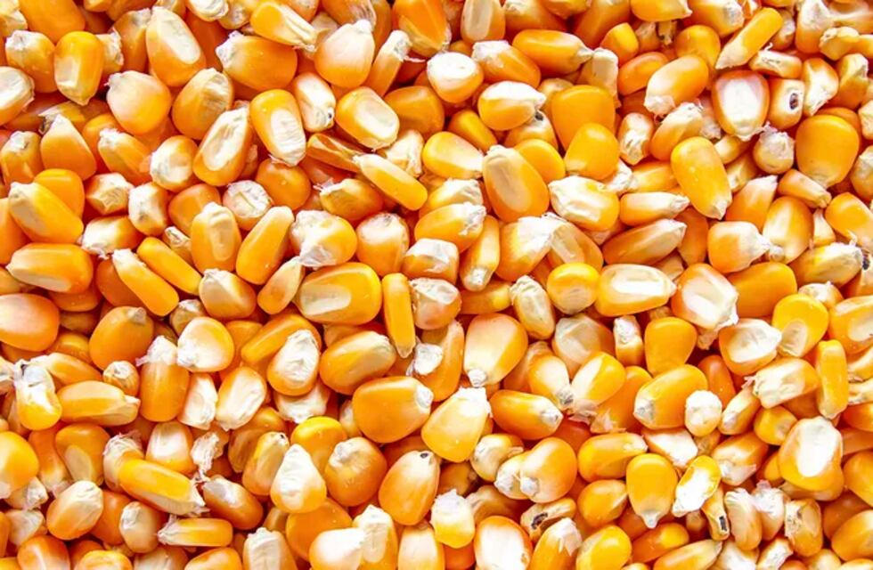 En que andan las empresas