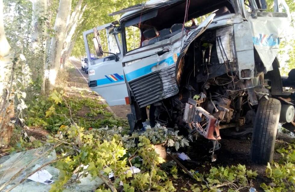 Un camión se estrelló contra un árbol y el chofer quedó internado en terapia intensiva