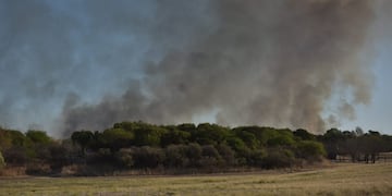 Incendio atrás del Tiro Federal. (Facundo Luque)