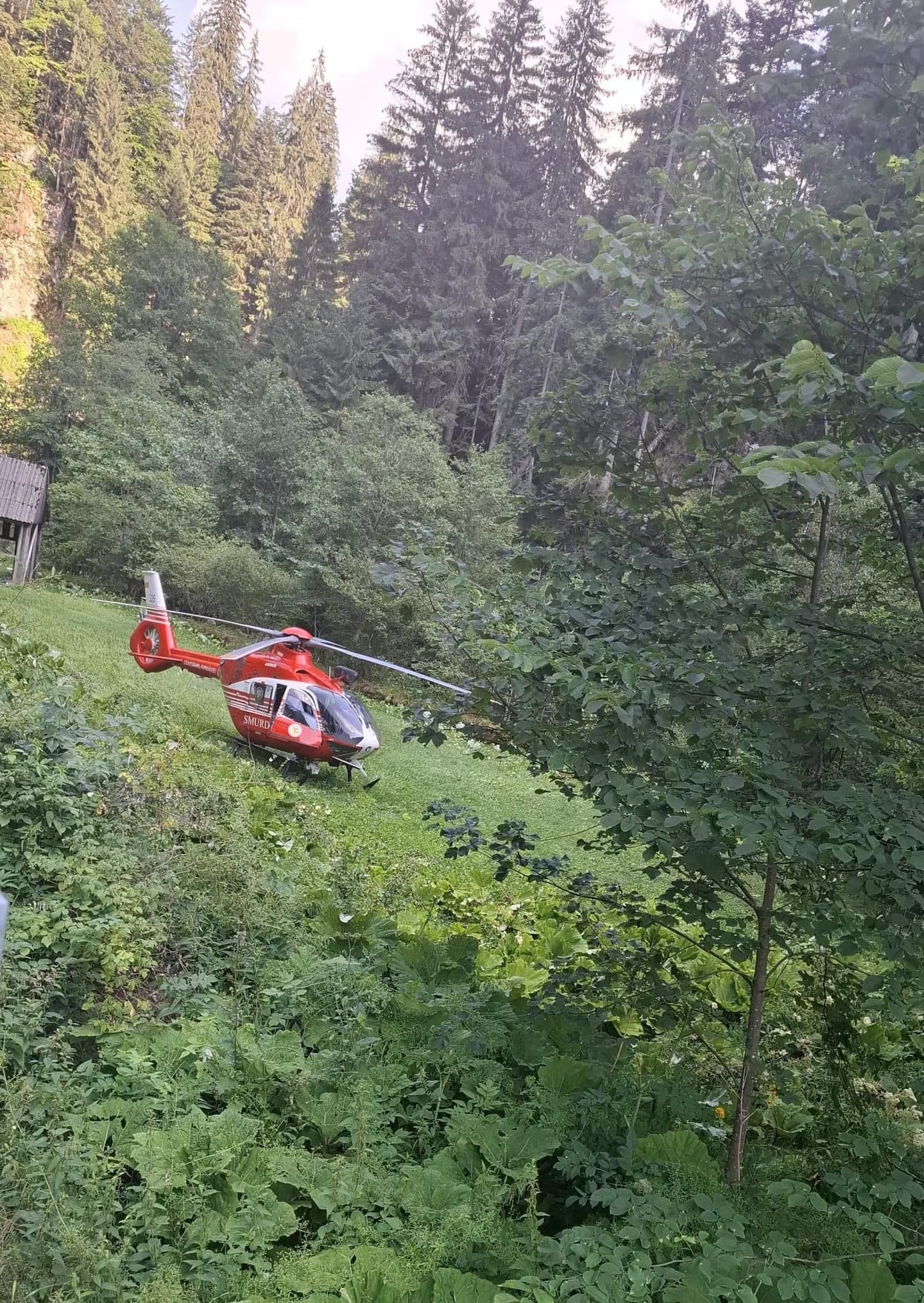 Uno de los helicópteros que se acercó al lugar del hecho.