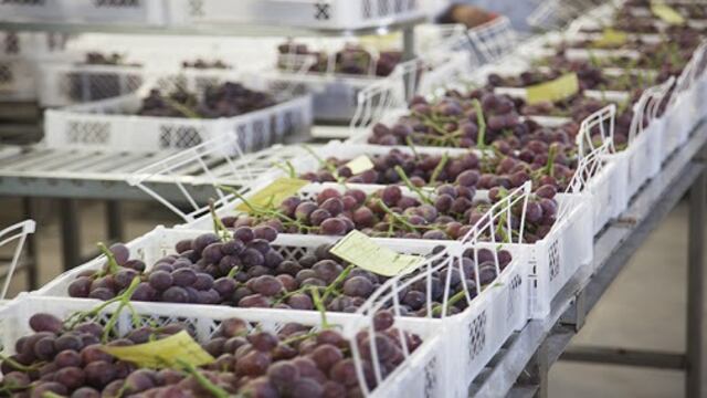 La promoción de las exportaciones vitivinícolas a Brasil ya es un hecho