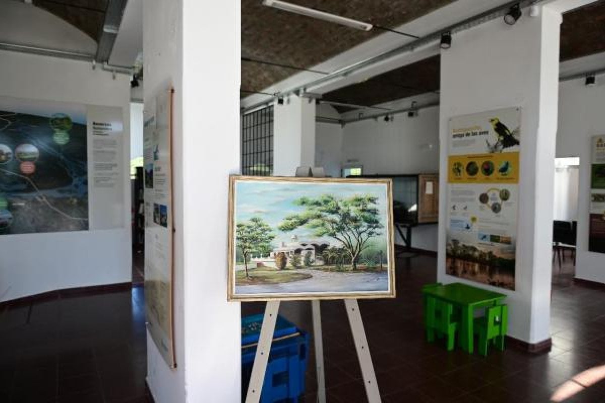 Paisajes naturales, senderos, museos.