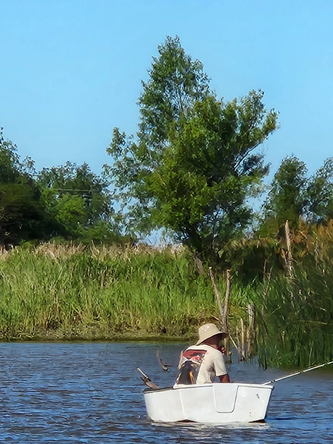 Ibicuy turismo: Histórico boom turístico en el Delta entrerriano