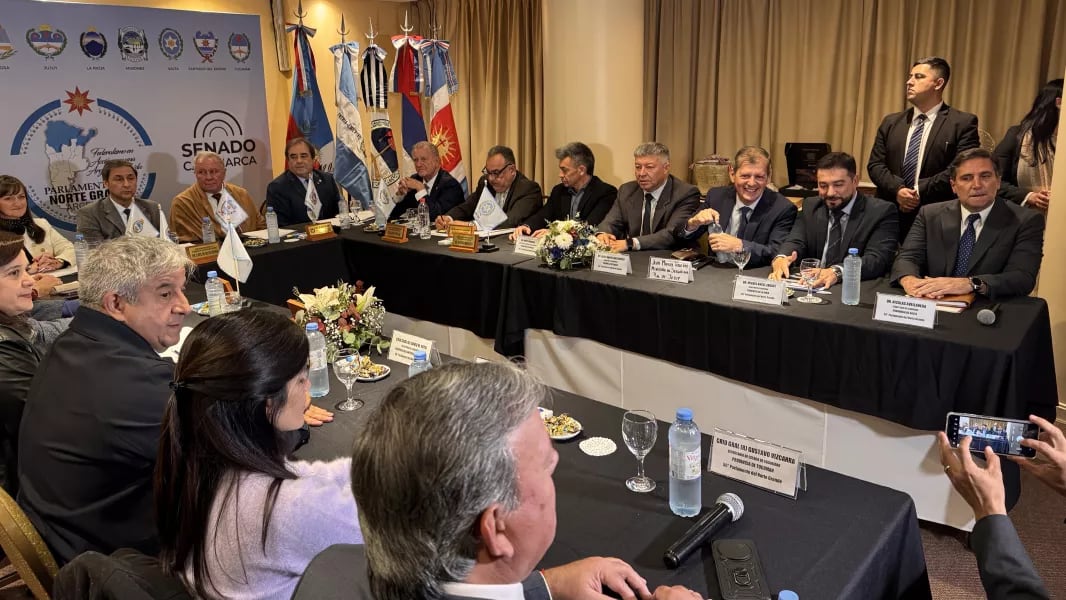 En Catamarca, la Mesa Ejecutiva del Parlamento del Norte Grande, integrada por vicegobernadores del NOA y NEA, se reunieron con ministros, secretarios y responsables de las áreas de seguridad de cada provincia para coordinar políticas integrales.