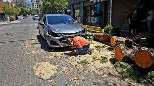 Un árbol cayó sobre dos autos en barrio Güemes.