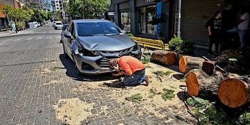 Un árbol cayó sobre dos autos en barrio Güemes.
