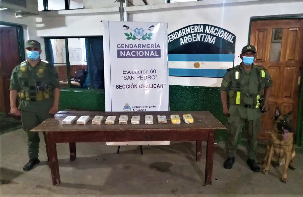 Los perros de la Gendarmería son implacables: descubren 15 kg de cocaína en Jujuy