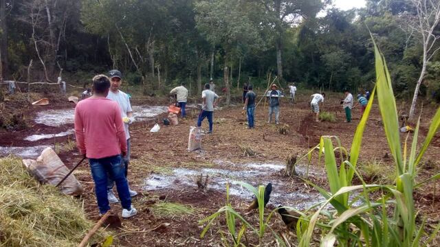 Puerto Libertad: integrantes de la Aldea Yryapú tuvieron capacitaciones en agrofloresta.