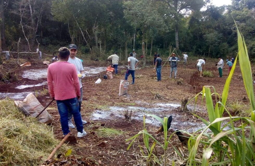 Puerto Libertad: integrantes de la Aldea Yryapú tuvieron capacitaciones en agrofloresta