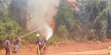 Reserva de Biosfera Yabotí: un detenido tras provocar incendio en el predio.