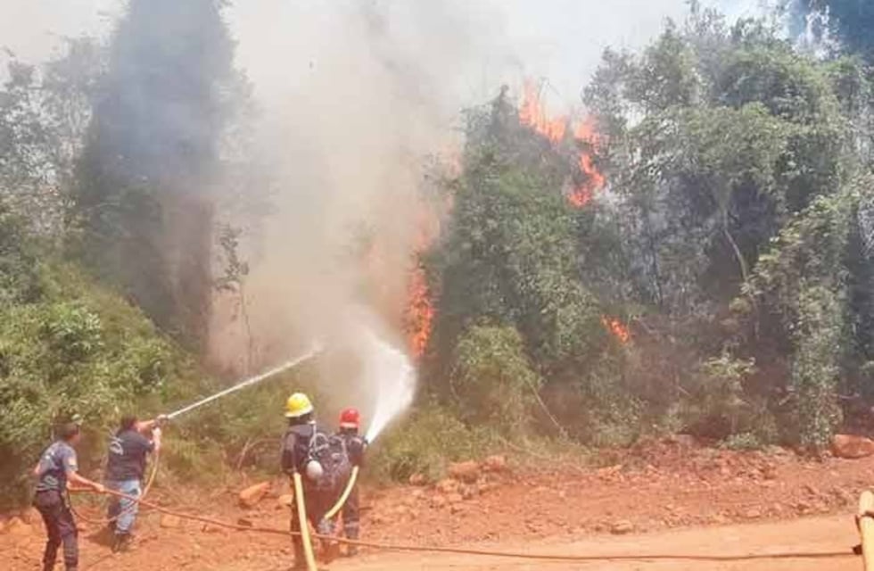 Reserva de Biosfera Yabotí: un detenido tras provocar incendio en el predio