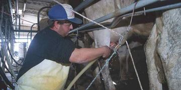 LECHERÍA. (Archivo).