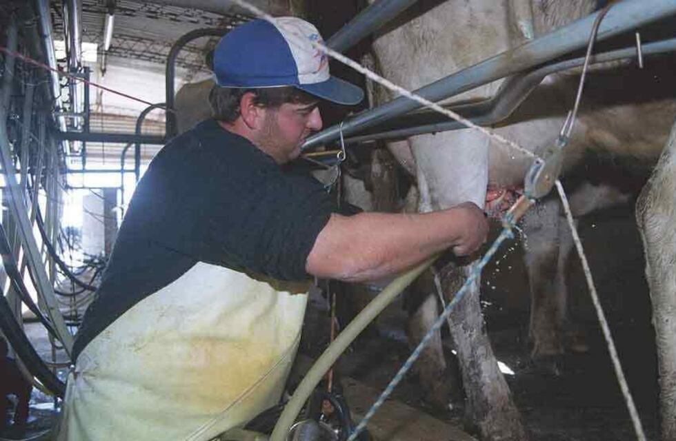 Productores lecheros de Santa Fe dicen que el sector “funciona por inercia”