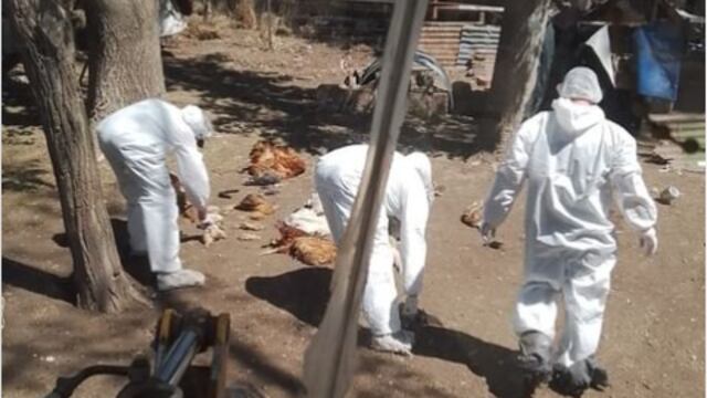 Los casos se reportaron en cercanía de Santa Rosa de Río Primero y en Villa Tulumba (Gentileza).