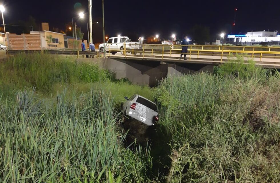 Un auto despistó y cayó en un zanjón