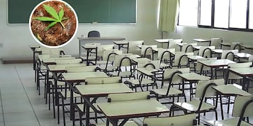 Estudiante chubutense llevó brownies con marihuana a la escuela y sus compañeros se intoxicaron.