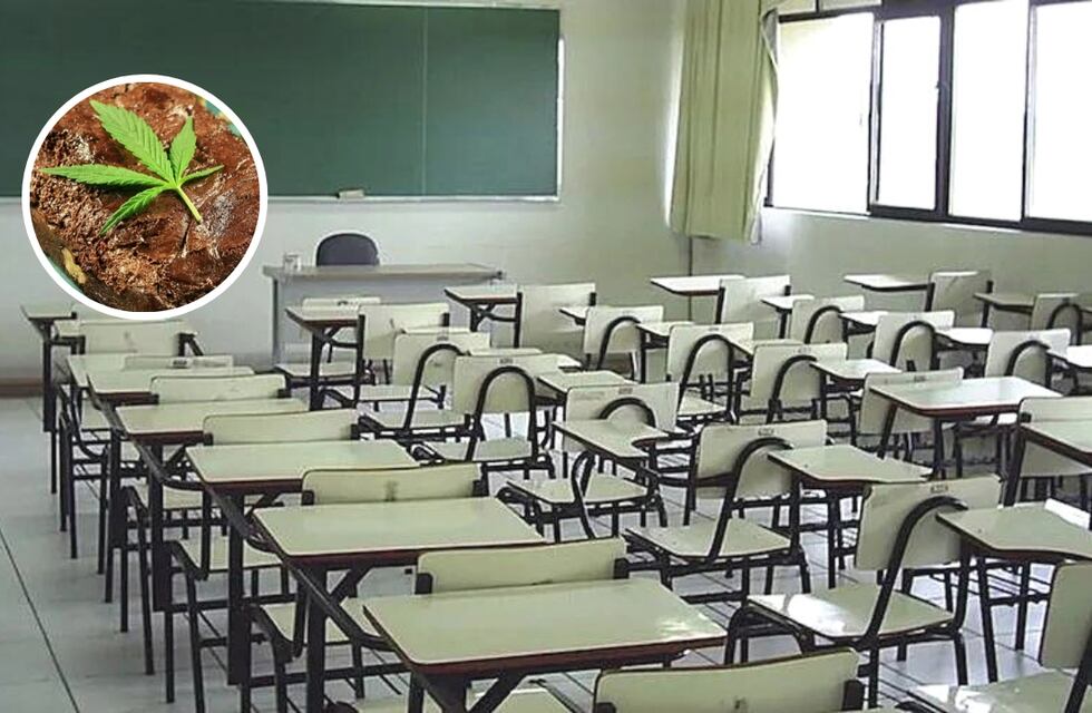 Insólito hecho en Chubut: un alumno llevó brownies con marihuana a la escuela y sus compañeros se intoxicaron