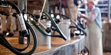 Análisis mundial de producción de leche (Gentileza Senasa)