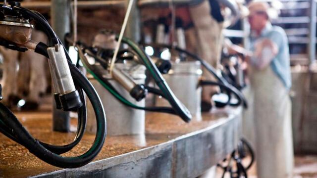 Análisis mundial de producción de leche (Gentileza Senasa)