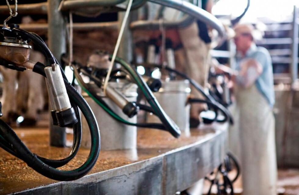 Perspectivas de producción mundial 2022