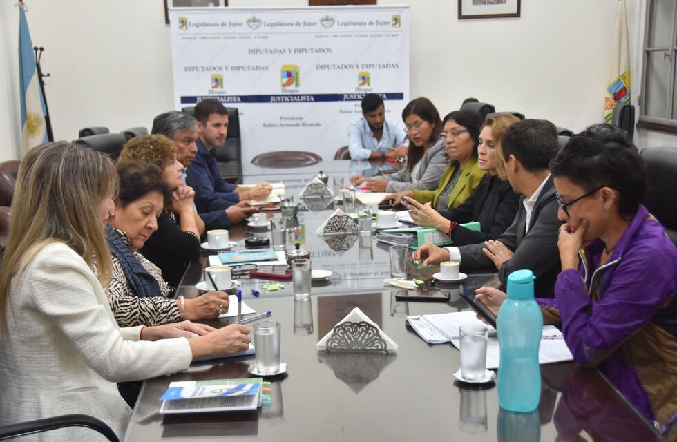 Diputados citarán al rector de la UNJu para que exponga sobre agua y litio