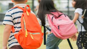 Vouchers educativos para colegios privados: de cuánto es el monto.