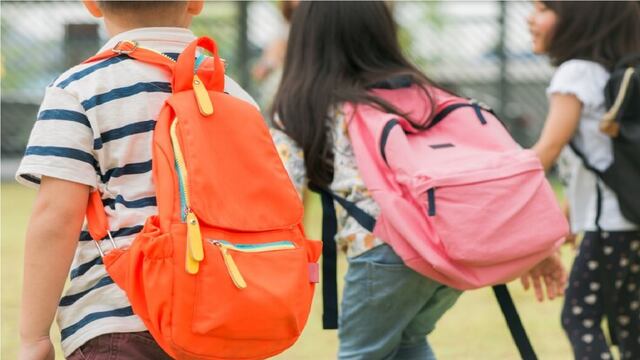 Vouchers educativos para colegios privados: de cuánto es el monto.