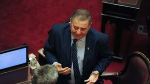 Sesión en el Senado. Foto archivo. Federico Lopez Claro
