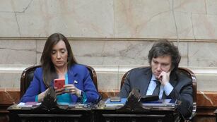 Javier Milei junto a Victoria Villarruel en el Congreso. Foto: Federico López Claro