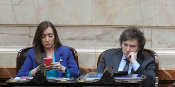 Javier Milei junto a Victoria Villarruel en el Congreso. Foto: Federico López Claro