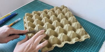 Tres opciones para reciclar maples de huevos.