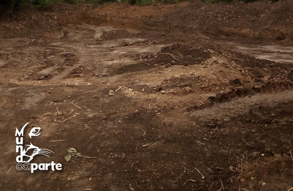 Construyen un lago para atraer aves que huyen de incendios en las islas