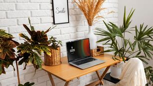 Cuál es el trabajo remoto que ofrecen 50.400 dólares.