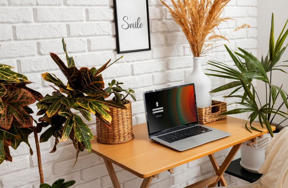 Empleo remoto y pagan 50.400 dólares al año: cómo aplicar