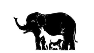 Acertijo visual: ¿podrás encontrar los animales ocultos en la imagen en 10 segundos?.