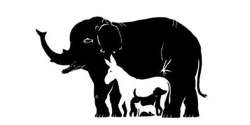 Acertijo visual: ¿podrás encontrar los animales ocultos en la imagen en 10 segundos?.