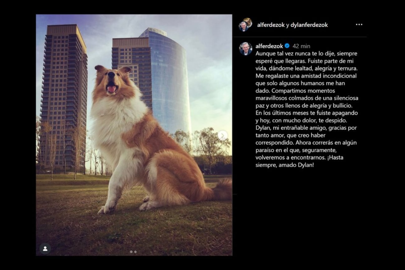 Murió Dylan, el perro de Alberto Fernández: la despedida del expresidente en redes. (Gentileza)