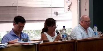 Los concejales y la tribuno de la UCR Arroyito autorizaron la donación del aguinaldo para el fondo de comerciantes