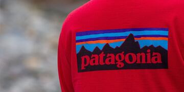 ¿Conviene comprar en Chile?: esto es lo que vale un polar Patagonia.