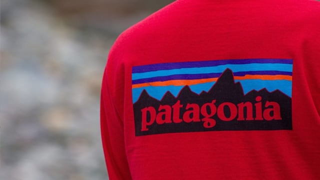 ¿Conviene comprar en Chile?: esto es lo que vale un polar Patagonia.