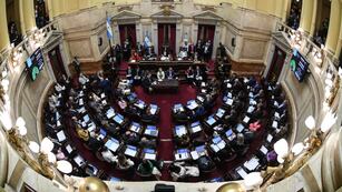 Se sancionó la Ley de Financiamiento Universitario. Captura: Comunicación Senado