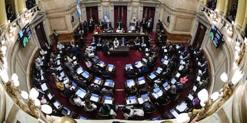 Se sancionó la Ley de Financiamiento Universitario. Captura: Comunicación Senado