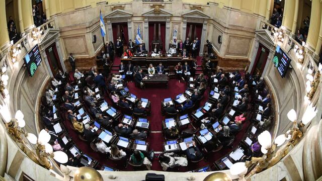 Se sancionó la Ley de Financiamiento Universitario. Captura: Comunicación Senado