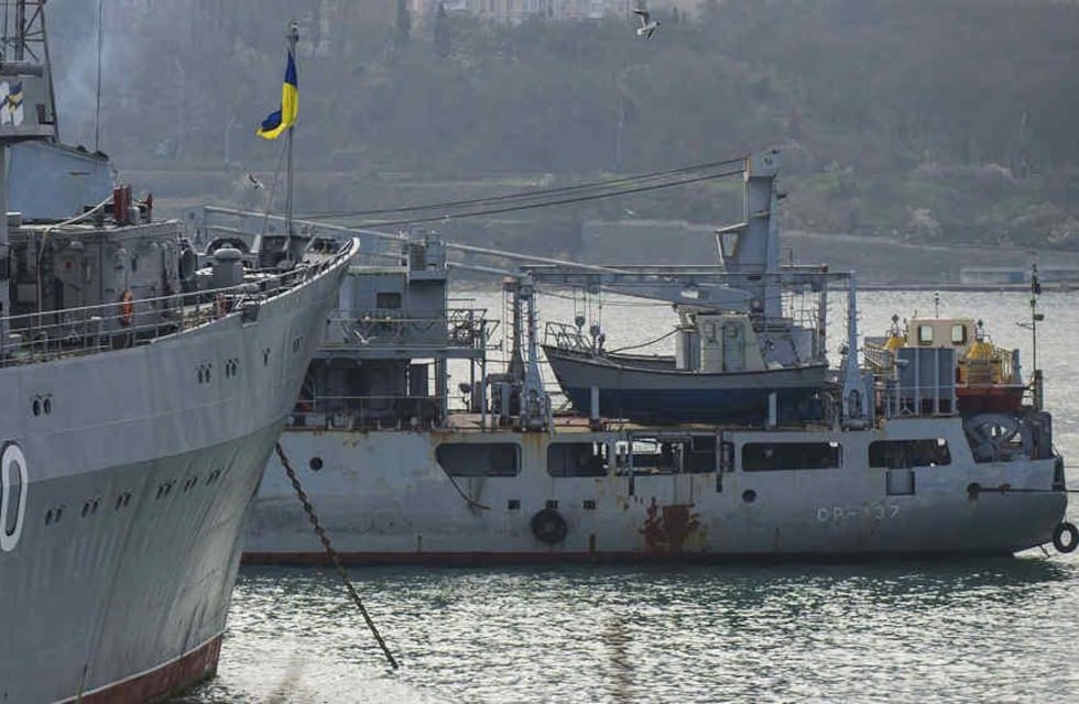 Conflicto Rusia-Ucrania: el ejército ruso utiliza delfines para proteger sus bases navales de ataques ucranianos