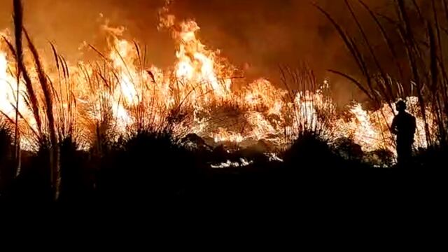 Pérez: cuatro focos de incendios en un solo día