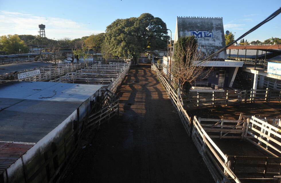 Termina el paro del campo, y desde este jueves se retoma el abastecimiento