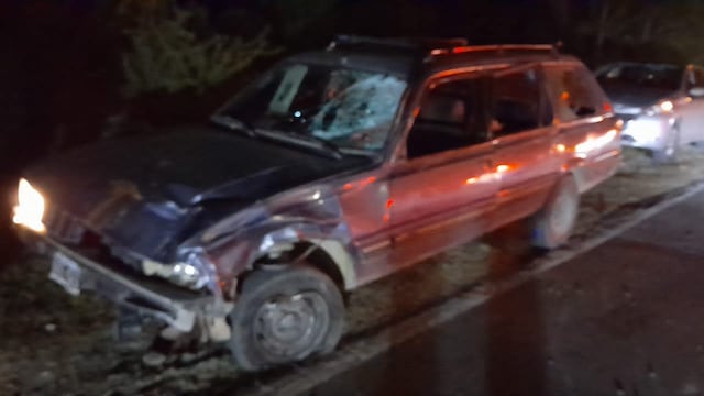 Un auto participó del siniestro. (Policía)