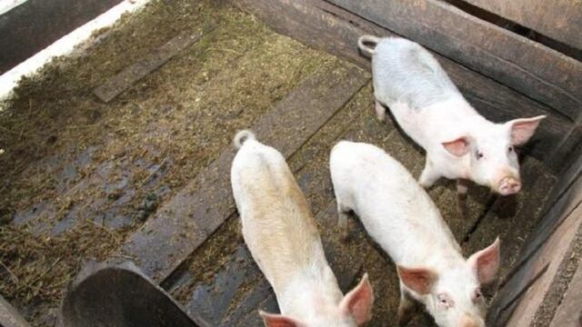 Con una ganancia de 25 millones de pesos, la empresa COFRA busca sumar socios para continuar creciendo