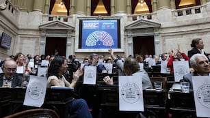 Diputados aprobó la vuelta de la moratoria previsional (Foto: HCDN)