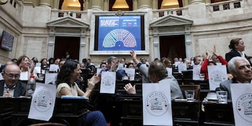 Diputados aprobó la vuelta de la moratoria previsional (Foto: HCDN)